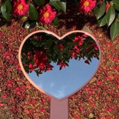 火狐电竞·huohu手机app下载