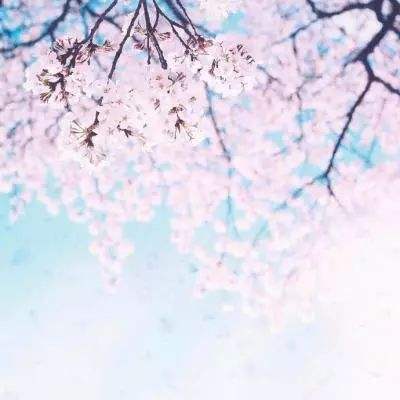 开元ky7818老版本app下载