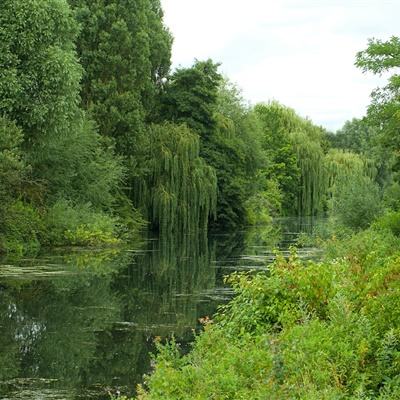 押注篮球的appapp下载