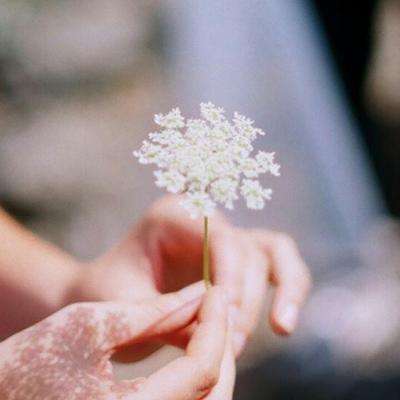 OB官网登录入口