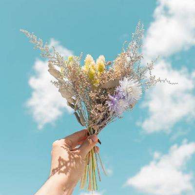 斗牛游戏大厅手机app下载